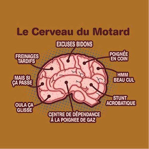 tshirt-le-cerveau-du-motard-coton-bio-curcuma