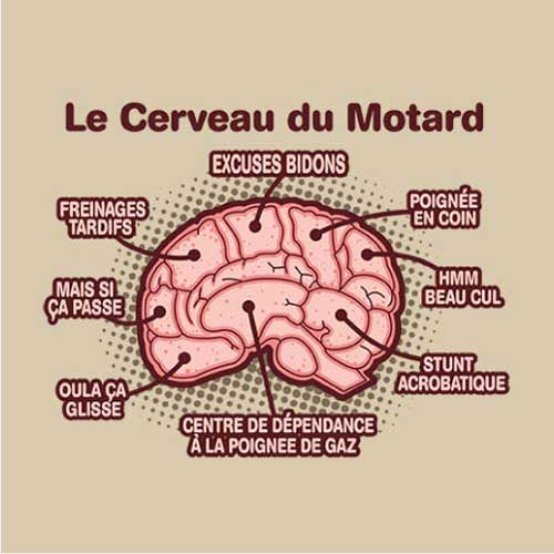 T SHIRT MOTO - Le cerveau du motard