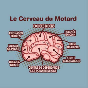 tshirt-le-cerveau-du-motard-coton-bio-ciel